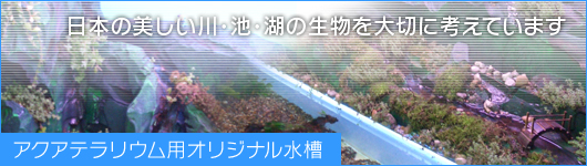 アクアテラリウム用オリジナル水槽